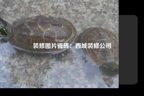 裝修圖片瓷磚:西城裝修公司