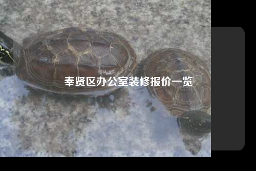 奉賢區辦公室裝修報價一覽